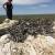 Jun 21: Delanie Jenkins at eagle nest made of sagebrush sticks and cow dung (SS)