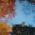 "Autumn in Frick Park", acrylic on canvas, 48" x 48", 2009