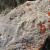 July 4: Ammonite fossil on Spring Creek's red ridge