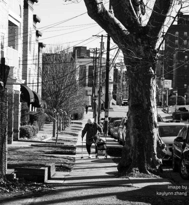 Black and white image of an individual walking down a sidewalk lined by cars, trees, and telephone poles